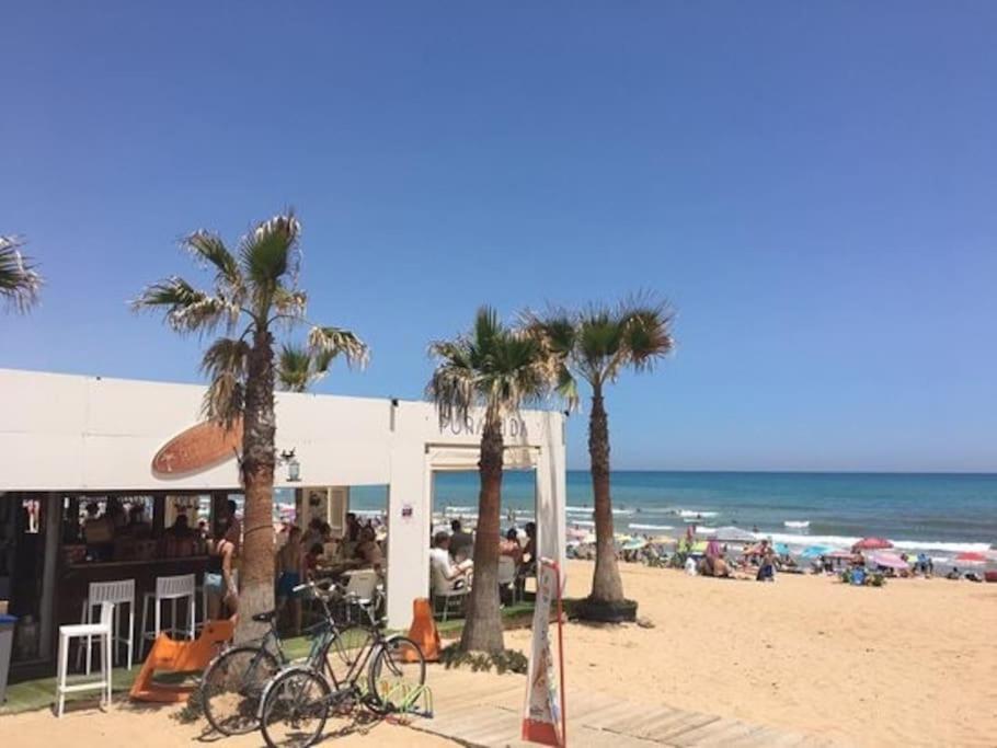 Brand New Apartment. 400 Meters Best Beach Torrevieja Exterior foto